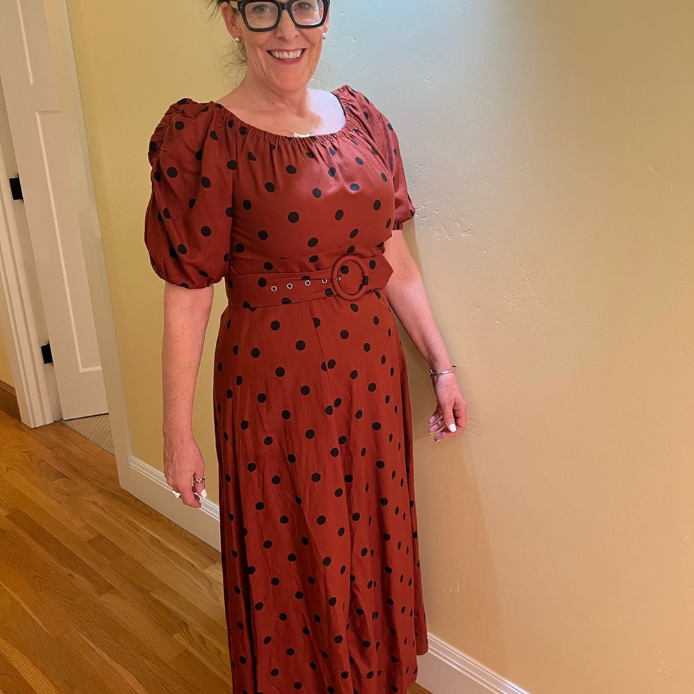Maeve by Anthropologie vintage style dress with side zipper. Worn twice like new